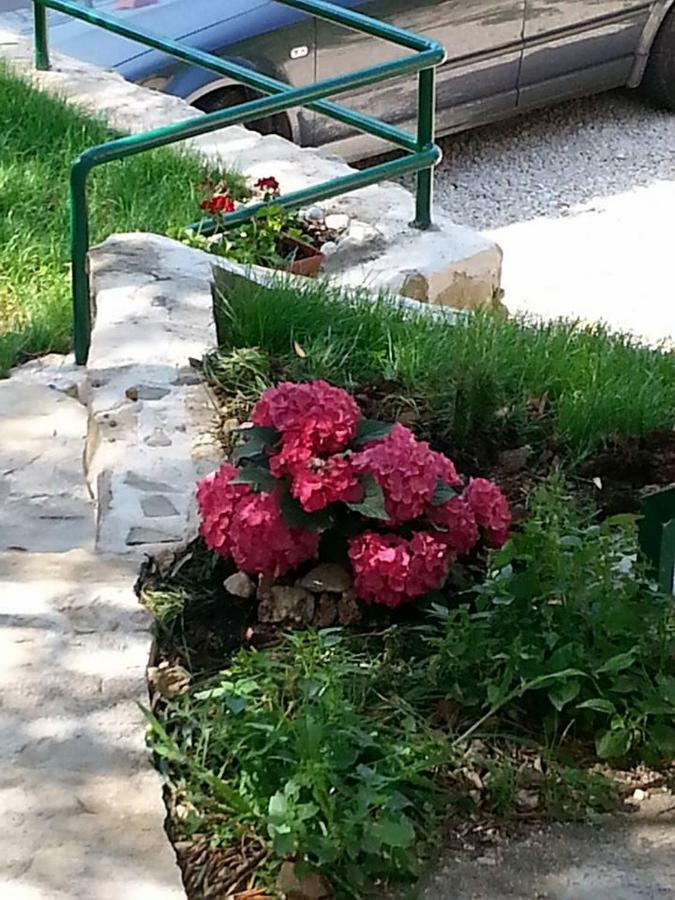 Dreams Apartment Makarska Exterior photo