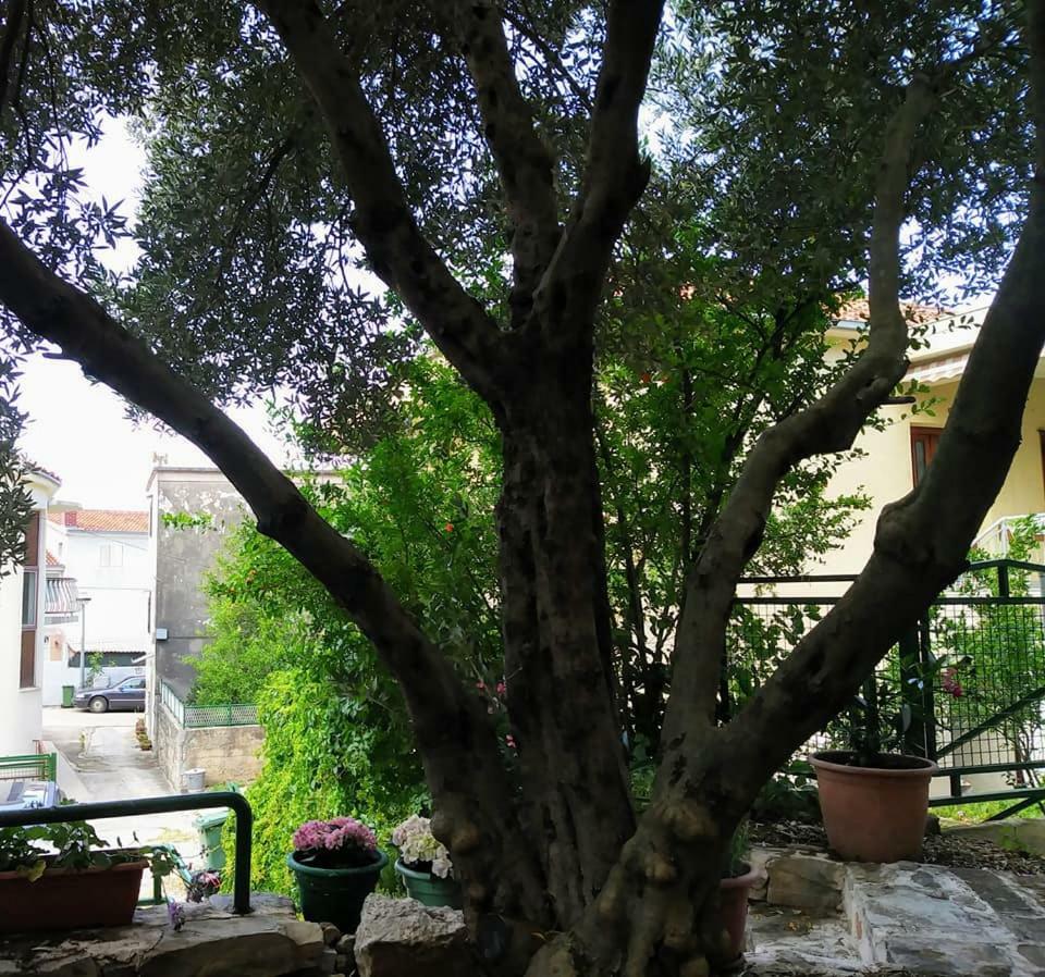 Dreams Apartment Makarska Exterior photo